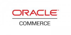 Oracle ATG Commerce SEO Advice