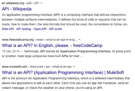 API SERP Screenshot