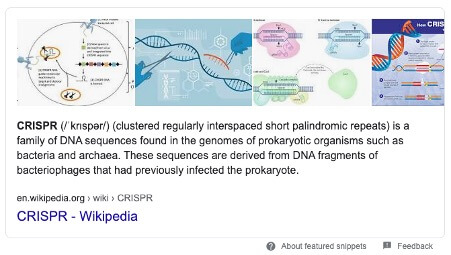 CRISPR Featured Snippet Screenshot
