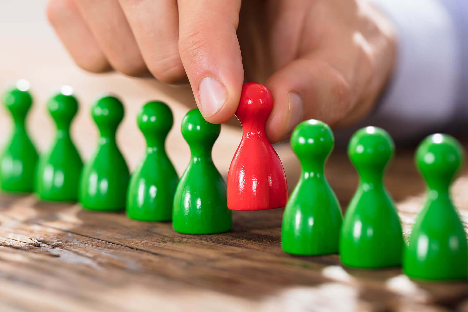 Stephen Robb joins the SALT.agency team SALT.agency®