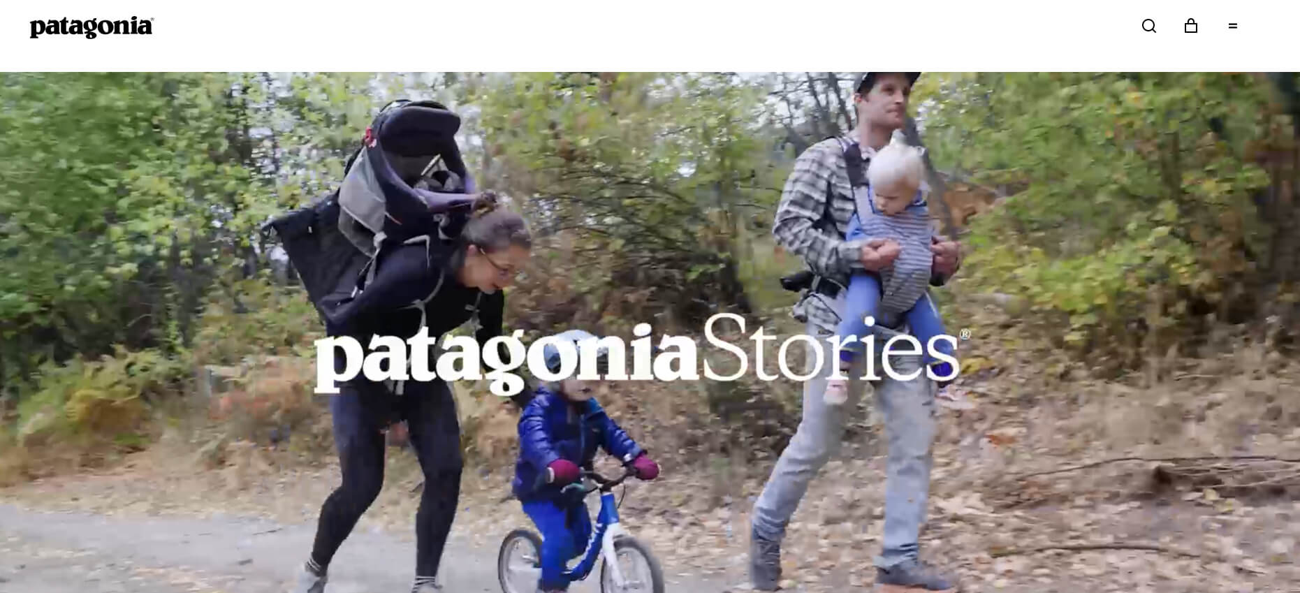 screenshot of Patagonia Stories.